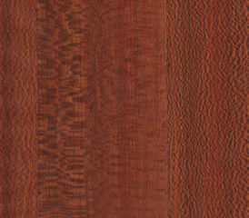Film adesivo Cassia Siamea Merbau Platanus di effetto di legno dello Zebrawood di Whitewood
